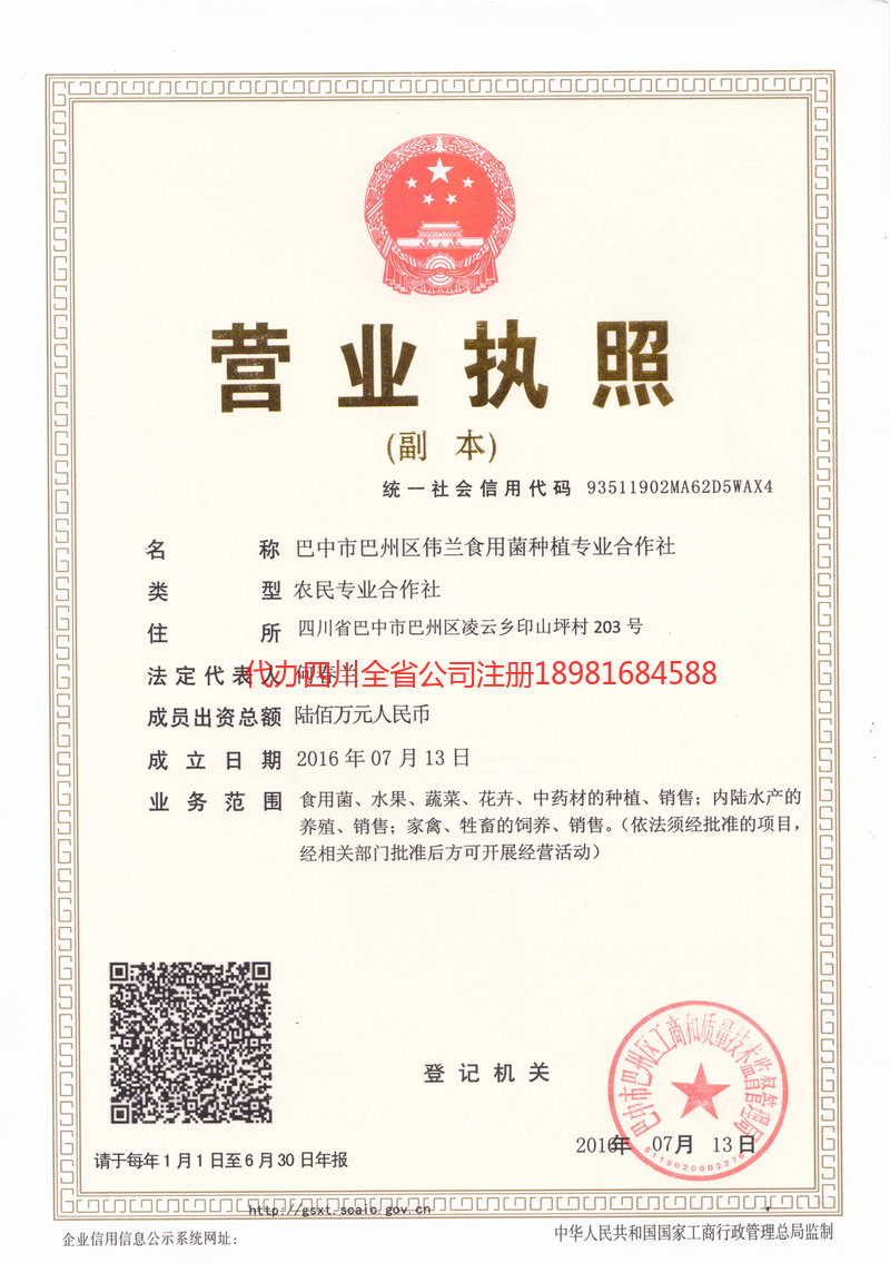 林州林州伟兰食用菌种植专业合作社